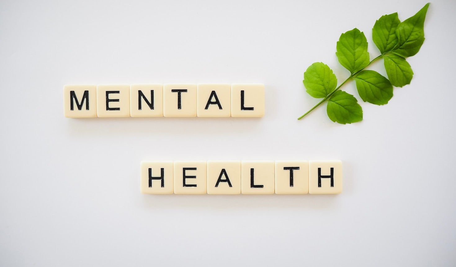 Understanding the Importance of Mental Health